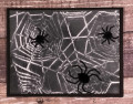 spider_web