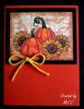 2020/10/05/Pumpkins_and_Sunflowers_by_CardsbyMel.jpg