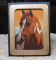 2020/11/18/Fabric_horse_card_by_JD_from_PAUSA.jpg