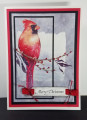 2021/01/02/Merry_Christmas_Cardinal_by_JRHolbrook.jpg