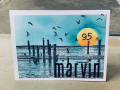 Marvin95_b