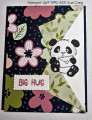 2021/02/04/F4A572_Big_Hug_Panda_small_by_bensarmom.jpg