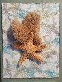 Starfish_H
