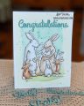 2021/03/02/new-baby-anita-jeram-bunny-rabbit-congratulations-watercolor-Teaspoon-of-Fun-3C-Colorado-Craf-Company-IO-Tutti-1_by_djlab.PNG