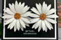 2021/03/19/Daisy-Flower-Set-1-daisies-friends-prills-Clean-and-Simple-_-Teaspoon-of-Fun-Deb-Valder-Tutti-Paper-Roses-2_by_djlab.PNG