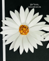 2021/03/19/Daisy-Flower-Set-1-daisies-friends-prills-Clean-and-Simple-_-Teaspoon-of-Fun-Deb-Valder-Tutti-Paper-Roses-3_by_djlab.PNG