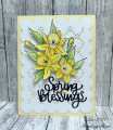 2021/04/01/Daffodil_Blessings_by_bearpaw.jpg