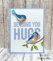 Bird_Hugs_