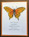 2021/04/12/Clean_Simple_Scribbly_Butterfly_by_SusieQ-lovesStampi.jpg