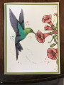 2021/04/12/Hummingbird_pt_1_by_SusieQ-lovesStampi.JPG