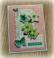 2021/04/20/card_1_SCS_by_kathinwesthill.JPG