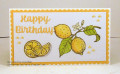 2021/04/25/Birthday_Lemons_front_by_Clownmom.JPG