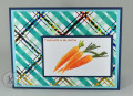 2021/05/14/Carrots-Plaid_by_kitchen_sink_stamps.jpg