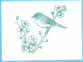 2021/05/16/Singing_bird_by_smileyj.jpg