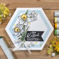 2021/05/23/Easter-white-daffodils_by_sf9erfan.jpg