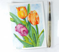 2021/05/25/Tulip_Watercolour_by_kiagc.jpg