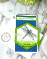 2021/05/26/color-layering-dragonfly-happy-mail-enclosed-beautiful-day-simple-sentiment-wavy-grass-duo-Teaspoon-of-Fun-Deb-Valder-Hero-Arts-Whimsy-IO-stamps-1_by_djlab.PNG