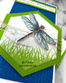 2021/05/26/color-layering-dragonfly-happy-mail-enclosed-beautiful-day-simple-sentiment-wavy-grass-duo-Teaspoon-of-Fun-Deb-Valder-Hero-Arts-Whimsy-IO-stamps-3_by_djlab.PNG