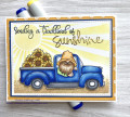 2021/06/13/gnome_truck_sunflowers_by_Suzstamps.JPG