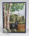 2021/06/15/Black-bear-and-birch-trees_by_kitchen_sink_stamps.jpg