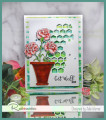 2021/07/09/Carnations_in_pot_IMG3041_by_justwritedesigns.jpg