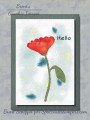2021/08/06/WCW062_Doodle-Floral_card_by_brentsCards.JPG
