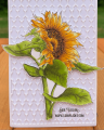 2021/08/08/sunflower-slimline-copic-coloring-so-glad-we_re-friends-Summer-Fall-trellis-die-Teaspoon-of-Fun-Deb-Valder-Tutti-Designs-Whimsy-Stamps-Creative-Expression-2_by_djlab.PNG
