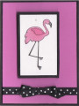 Flamingo_0