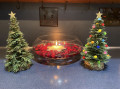 2021/12/28/Christmas_Trees_SCS_by_Pansey65.jpg
