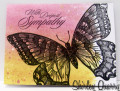 Butterfly_