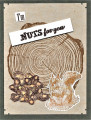 2022/02/06/Nuts_For_You_by_ArtzadoniStudio.jpg