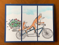 2022/02/21/foxesbicycling_by_cheermom.jpg