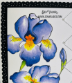 2022/03/08/iris-elegance-cross-stitch-borders-copic-spring-flowers-sprinkles-scallops-rectangles-Teaspoon-of-Fun-Deb-Valder-Penny-Black-Whimsy-Stamps-2_by_djlab.PNG