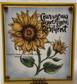 2022/03/22/Power_Poppy_Courageous_Sunflower_by_raduse.jpg