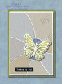 2022/04/05/CC890-CAS684_Butterfly_card_by_brentsCards.JPG