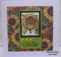 2022/05/02/The_Sunflower_by_Precious_Kitty.JPG