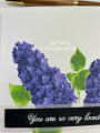 2022/05/05/lilacs-multi-step-warm-fuzzies-so-loved-mother_s-day-Teaspoon-of-Fun-Deb-Valder-Kitchen-Sink-IO-Stamps-Creative-Expressions-WOW-3_by_djlab.PNG