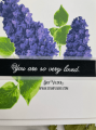 2022/05/05/lilacs-multi-step-warm-fuzzies-so-loved-mother_s-day-Teaspoon-of-Fun-Deb-Valder-Kitchen-Sink-IO-Stamps-Creative-Expressions-WOW-4_by_djlab.PNG