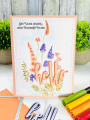 2022/05/27/floral-twist-wonderful-world-hello-and-hugs-sprinkles-scallops-rectangle-Teaspoon-of-Fun-Deb-Valder-Altenew-whimsy-stamps-IO-Penny-Black-1_by_djlab.PNG
