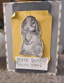 2022/06/15/CC900_CC828_Some_bunny_loves_you_by_Crafty_Julia.jpg