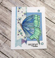 2022/06/24/IC864_Butterfly_Birthday_IMG_6917_by_Kalla_Walla.jpg