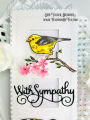 2022/07/15/Finch-Greetings-Bundle-birds-sympathy-slimline-zig-zag-build-a-basket-thoughts-prayers-Teaspoon-of-Fun-Deb-Valder-Penny-Black-Memory-Box-Whimsy-stamps-Creative-Expressions-2_by_djlab.PNG