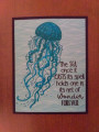 JellyfishS