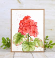 2022/08/02/Watercolor_Wednesday_Geraniums_0001_by_ohmypaper_.JPG