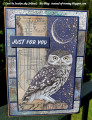 2022/08/04/Owl_card_1_by_JoBear2.jpg