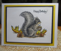 2022/09/08/squirrel_birthday_card_by_JD_from_PAUSA.jpg