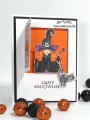 2022/10/15/z-Gift-Peek-A-Boo-Infinity-Die-Gnome-Witch-Halloween-Squares-Doors-Mini-Circles-ornament-hero-arts-Teaspoon_of_Fun-Deb-Valder-stampladee-11_by_djlab.PNG