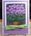 2022/10/29/Birthday_card_for_Carol_2022_by_JD_from_PAUSA.jpg