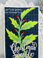 2022/11/05/Holly-Berries-Thatched-Christmas-Sparkle-leaves-Teaspoon-of-Fun-Deb-Valder-Creative-Expressions-Hero-Arts-Whimsy-Stamps-3_by_djlab.PNG