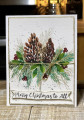 2022/12/04/a_pine_cone_display_by_nwilliams6.jpg